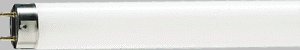 [110303] Philips MASTER TL - D Super 80 18W - 840 Koel Wit | 60cm